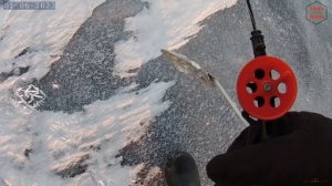 ЛАДОГА, КИРИКОВО, ЗИМНЯЯ РЫБАЛКА 2023