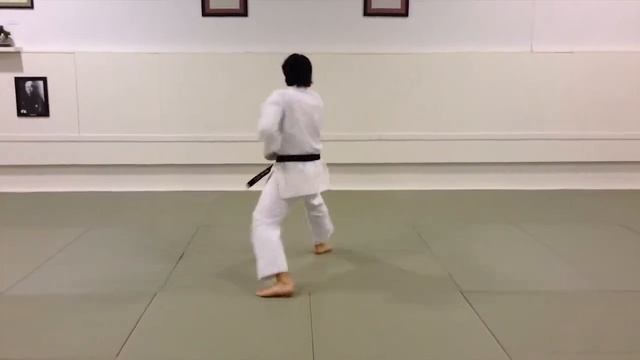 Kata Taikyoku Shodan смотреть онлайн