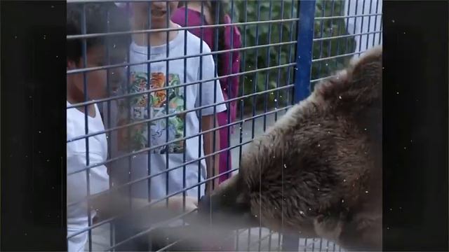 Fame Park Dubai Saeed Hilal Meet Sb Belhasa in Dubai | famepark Dubai Full Video | Famepark Video смотреть онлайн
