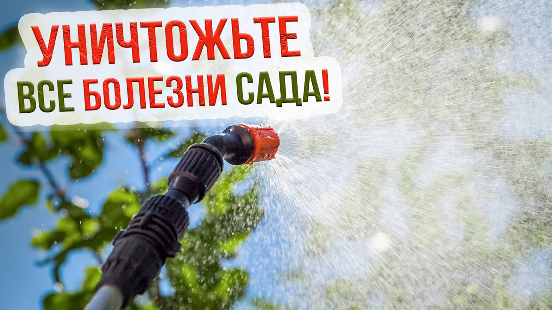 Осенняя обработка сада от болезней и вредителей. Чем обработать плодовые деревья осенью? смотреть онлайн