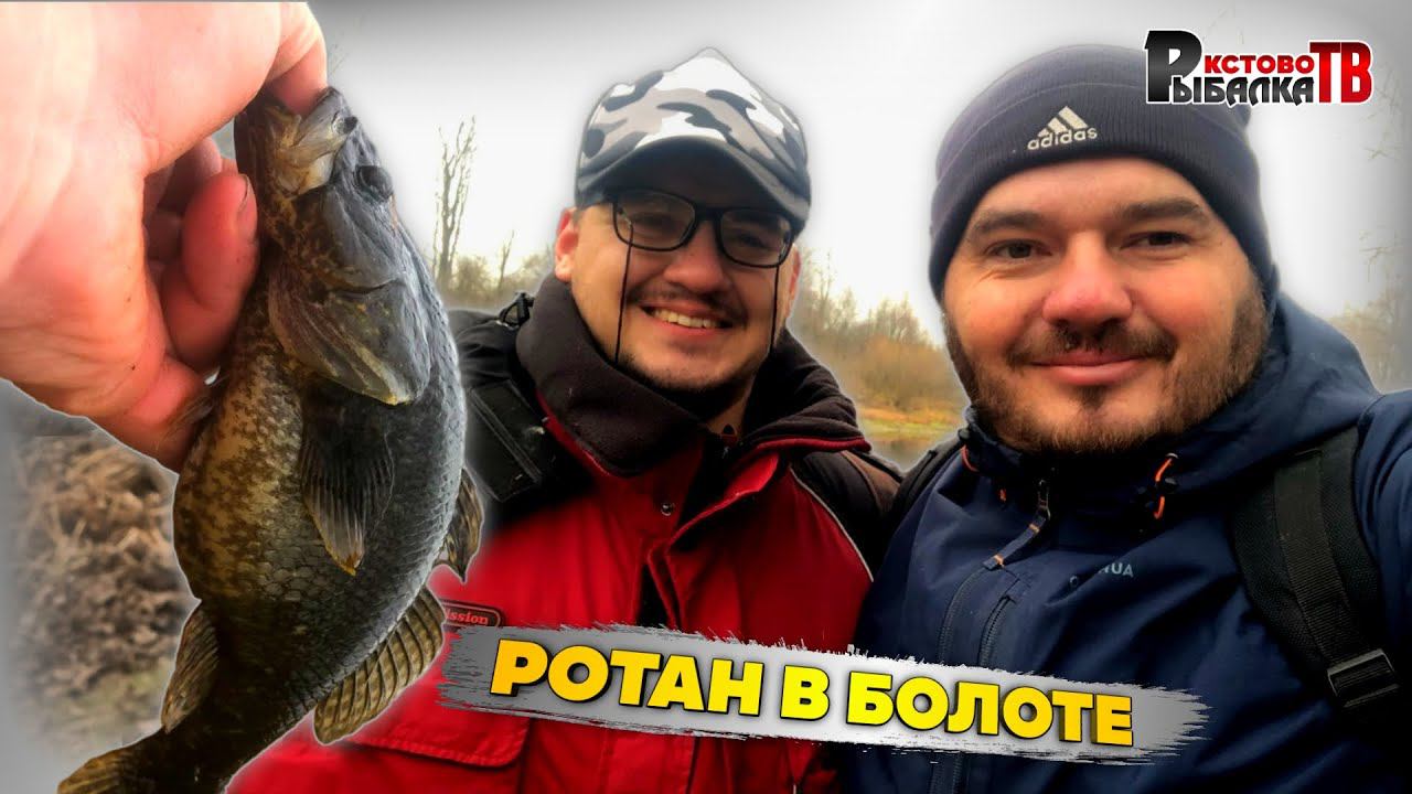 Единственная рыба которая живёт в болоте.Осенняя ловля ротана на болотах. смотреть онлайн