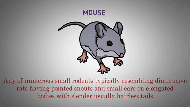 Improve Your English Vocabulary | IELTS Vocabulary for the Speaking | English TV ✔ смотреть онлайн