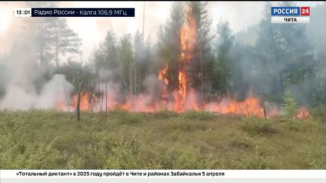 ГТРК Чита - «Авиалесоохрана» разработала предварительный прогноз пожарной опасности в лесах смотреть онлайн