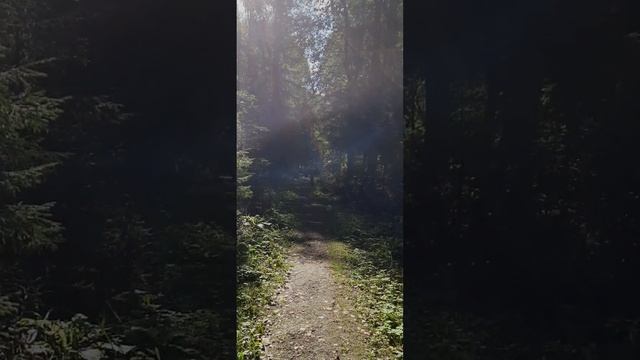 ?Красота по? тропе жизни!♻️[Ольга Пак]