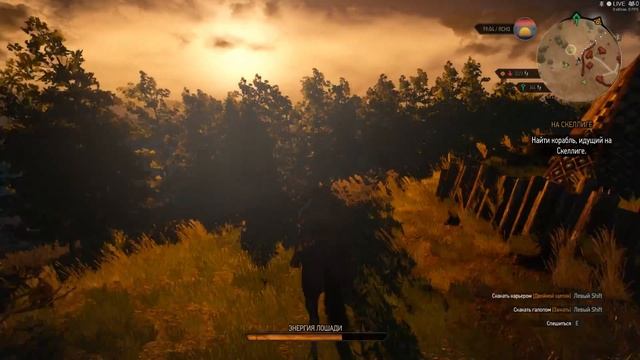 THE WITCHER 3 WILD HUNT #21 :"Битва за Сокровища" смотреть онлайн