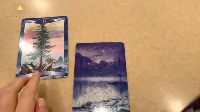 НА СКОЛЬКО ВЫ СОВМЕСТИМЫ? ГАДАНИЕ НА РУНАХ смотреть онлайн