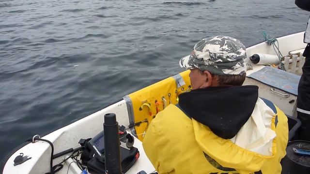 Рыбалка в Норвежских фьордах 2017 смотреть онлайн