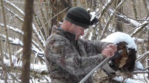 Охота с лайками на куницу... День перед Рождеством...