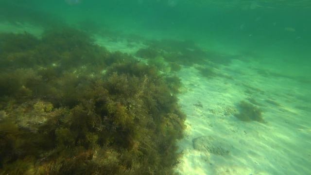 Крым. Западный берег. Море. Sup-serf смотреть онлайн