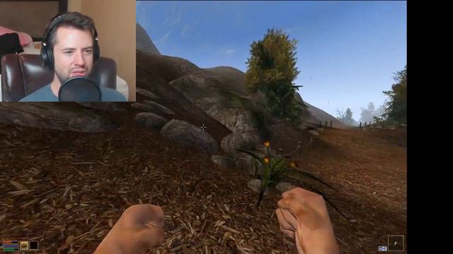 Morrowind Multiplayer LIVE Stream смотреть онлайн