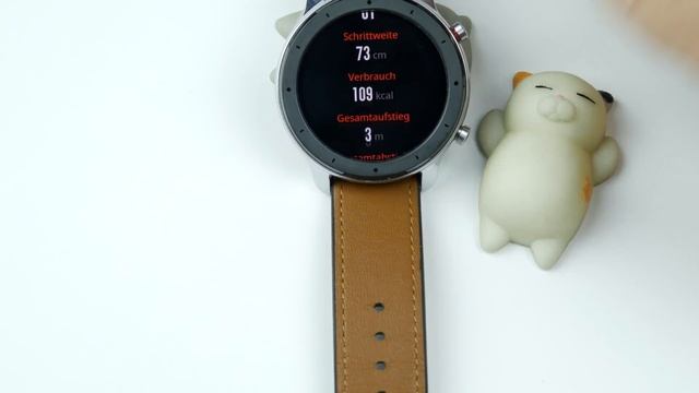 Xiaomi AMAZFIT GTR Smartwatch Alltagstest - Definitiv meine erste Wahl - Moschuss.de смотреть онлайн