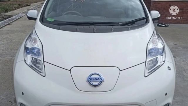 Уже в пути в Воронеж! Прибытие конец мая. Ищет своего нового владельца!