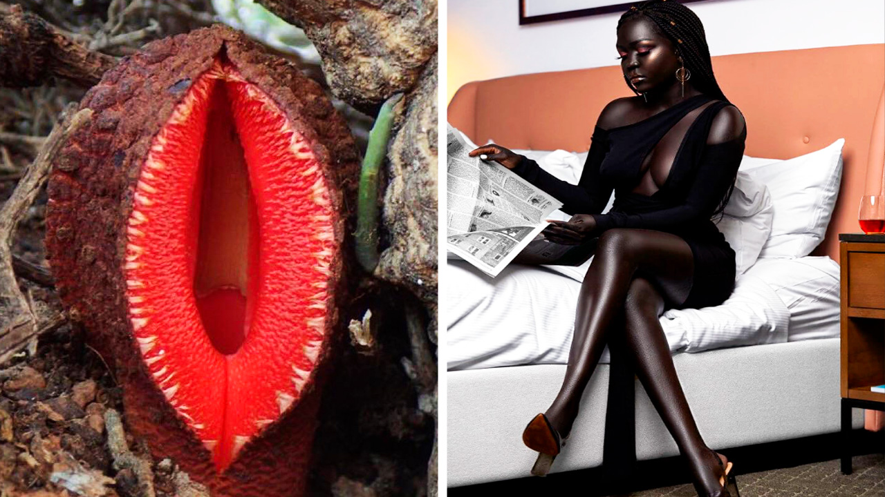 Фото, которые тебя удивят (часть 139) смотреть онлайн