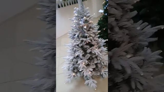 Форесто заснеженная смотреть онлайн