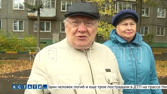 Наломали дров - дорожники закатали в асфальт деревья, не оставив им шанса на выживание