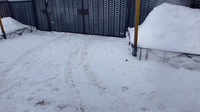 Лайф. Нива снова моросит///Очиститель карбюратора LIQUI MOLY///Мини покатушки///