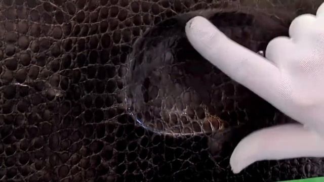 Hexis alligator vinyl car wrap applied to door cup смотреть онлайн