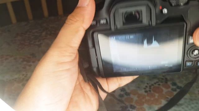 Canon EOS 250D tutorial смотреть онлайн