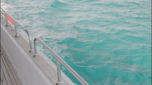 From Fame to Death Row | The Case of Skylar Deleon смотреть онлайн