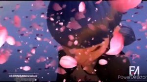 Леди баг и супер кот под песню "Лепесток" ??