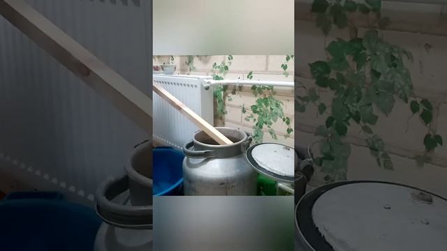 Вдохновение на Тарелке