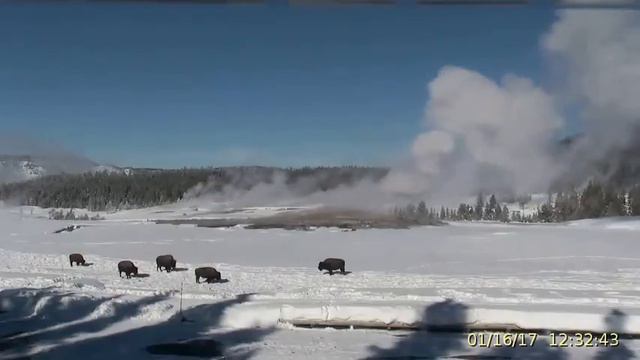 January 16, 2017 Upper Geyser Basin Daytime 4x Streaming Camera Captures смотреть онлайн
