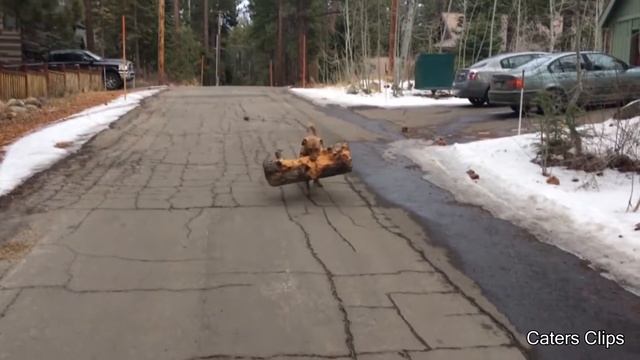 Морской котик обнимает дайвера смотреть онлайн