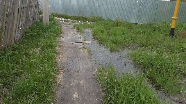 Ахуны, СНТ "Берёзка", стена Заречного. смотреть онлайн