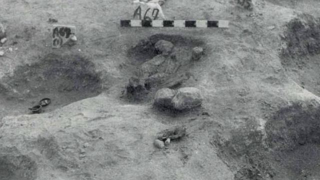 The Origins of Ancient Egyptian Civilization смотреть онлайн