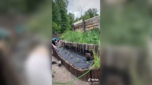 Простые идеи ландшафтного дизайна которые сделают ваш участок стильным | Зеркало в сад своими рукам