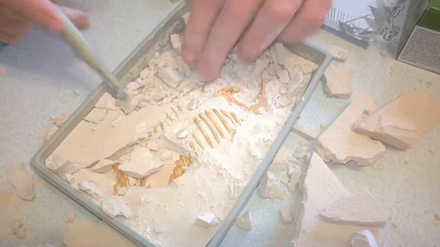 Раскопки динозавра тиранозавра смотреть онлайн