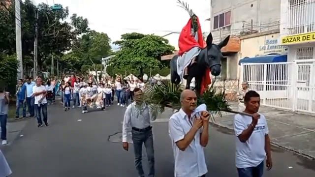 SEMANA SANTA 2024- PROCESIÓN DOMINGO DE RAMOS смотреть онлайн