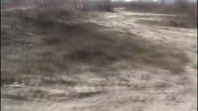 SDV 0011 смотреть онлайн