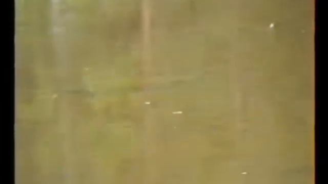 Амури на яз.Дженевра. смотреть онлайн