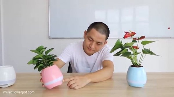Музыкальный горшок для цветов Smart Flower Pot с bluetooth колонкой