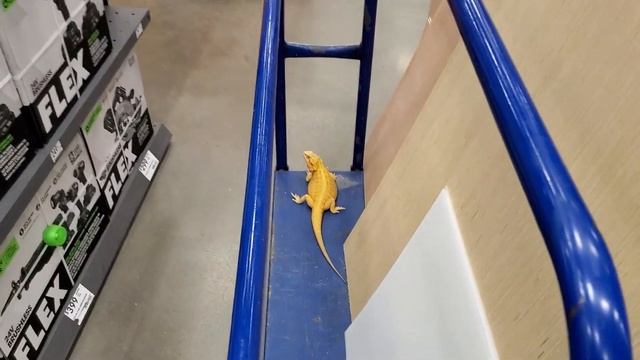 FLEX TOOLS TOO EXPENSIVE FOR THE UNKNOWN