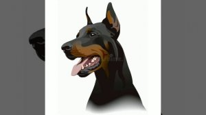 Клип про Доберманов!