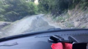 Абхазия.Дорога на Ауадхара.