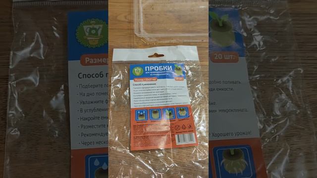 Пора сажать петунии для получения материнских кустов, которые мы будем весной черенковать.