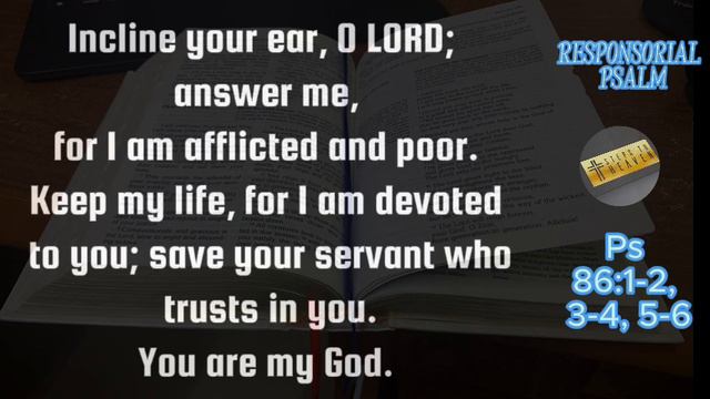 HOLY MASS DAILY READINGS | SATURDAY, FEBRUARY 17, 2024 смотреть онлайн