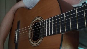 Как играть на гитаре песню "Птицы белые мои" Константина Никольского