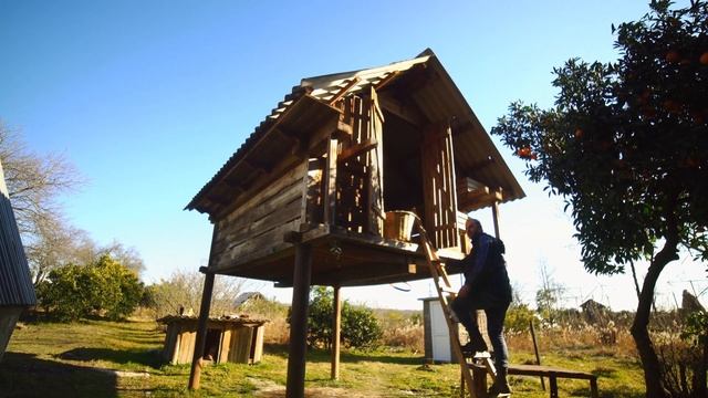 Harvesting and Post-harvest handling Maize/ Сбор и хранение кукурузы смотреть онлайн