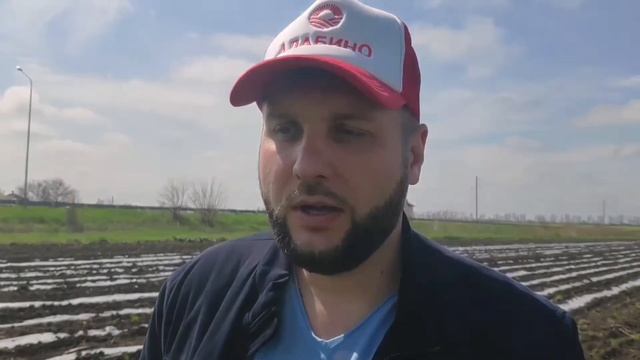 Кукуруза посадка, мульча и Кубанские ливни #КукурузаПосадка #КукурузаСорт #Мульча #Мульчирование смотреть онлайн