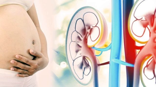 БЕЛОК В МОЧЕ ВО ВРЕМЯ БЕРЕМЕННОСТИ | Что означает белок в моче во время беременности смотреть онлайн