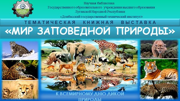 "Мир заповедной природы" смотреть онлайн