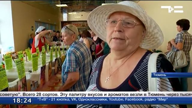 Сладкое изобилие смотреть онлайн