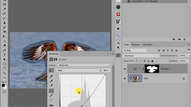 Как привлечь внимание к главному объекту съемки смотреть онлайн