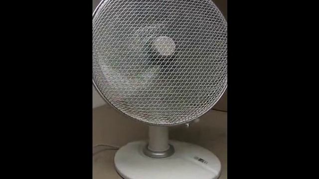 Soler & Palau Artic 300N