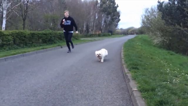 Cum sa faci LIVE pe YouTube pe telefon 2019 / Simplu si PRO смотреть онлайн