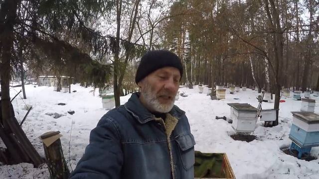 МАЙСКИЙ МЁД ПОЛУЧИТЬ ЭТО РЕАЛЬНО! смотреть онлайн